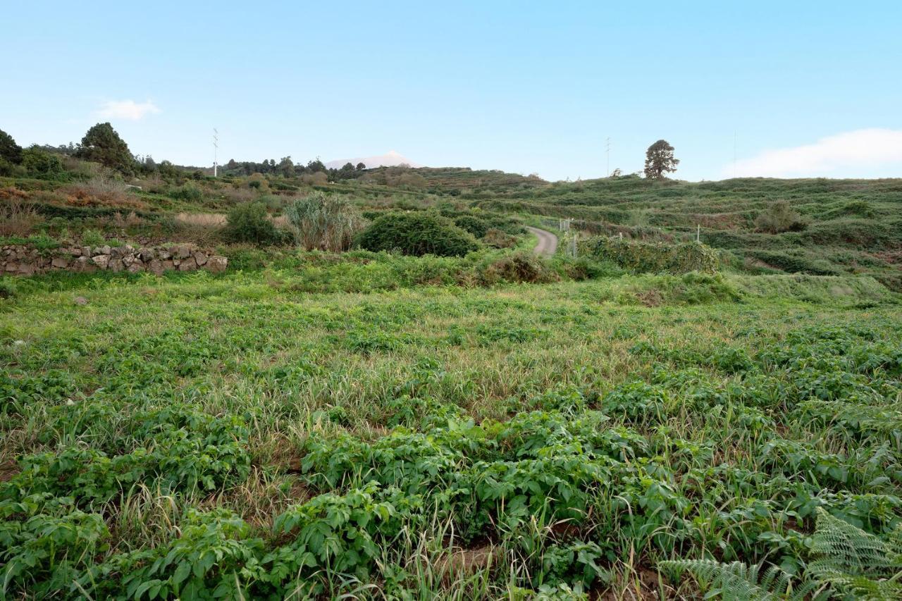 El Nogal Βίλα San Juan de la Rambla Εξωτερικό φωτογραφία